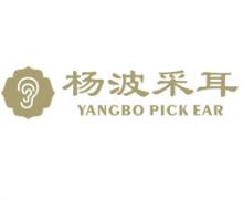 杨波采耳
